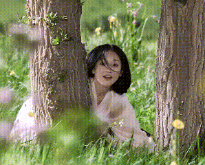 14.gif