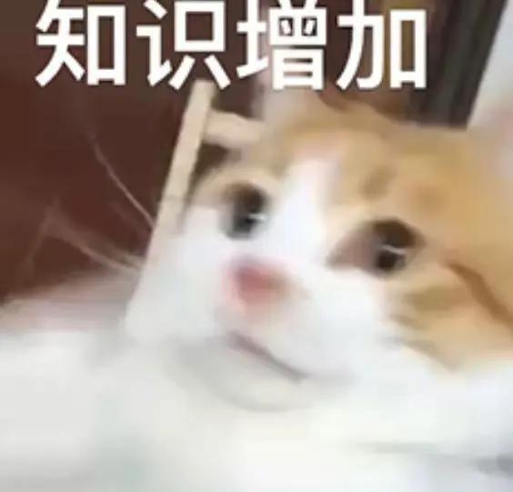 4.jpeg
