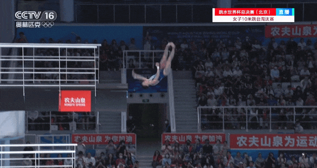 5.gif